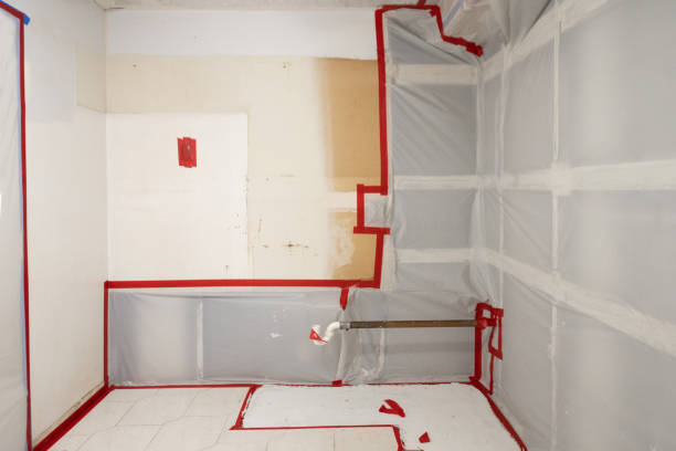  East Douglas, MA Mold Removal Pros