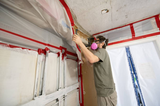 Best Real Estate Mold Inspection  in East Douglas, MA