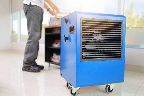 Best Indoor Air Quality Assessment  in East Douglas, MA