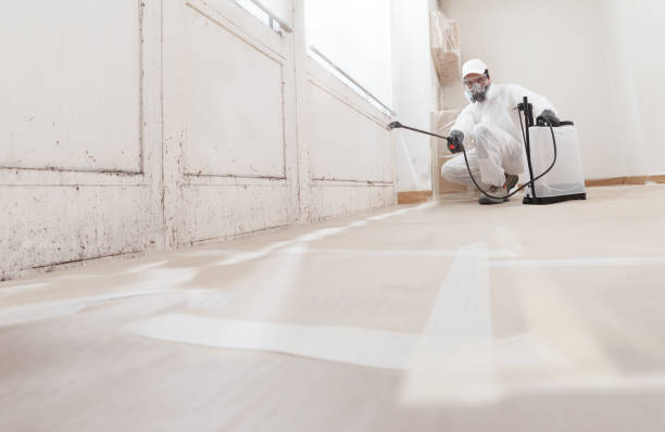 Best Mold Removal for HVAC Installations  in East Douglas, MA